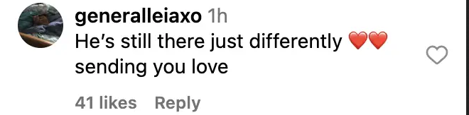 A fan's comment dated November 20, 2023 | Source: Instagram.com/rumerwillis/