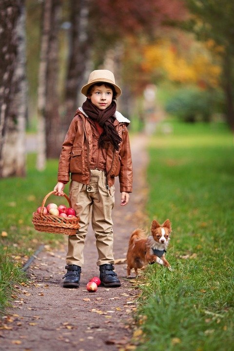 Source : Shutterstock