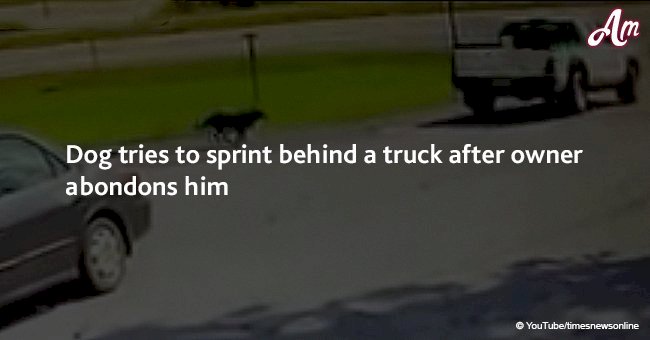 Dog tries to sprint behind a truck after owner abandons him