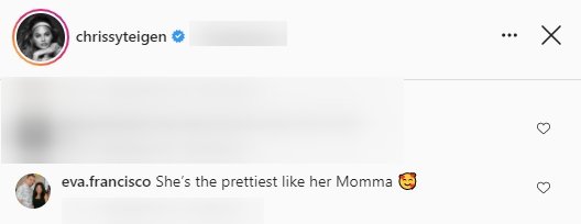 Fan commenting on a picture of Chrissy Teigen and John Legend's daughter Luna smiling for the camera and dressed in a pink dress. | Source: Instagram.com/chrissyteigen