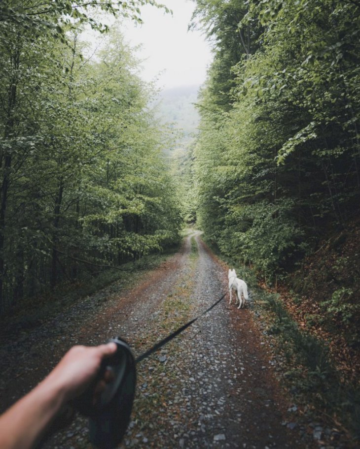 Unsplash