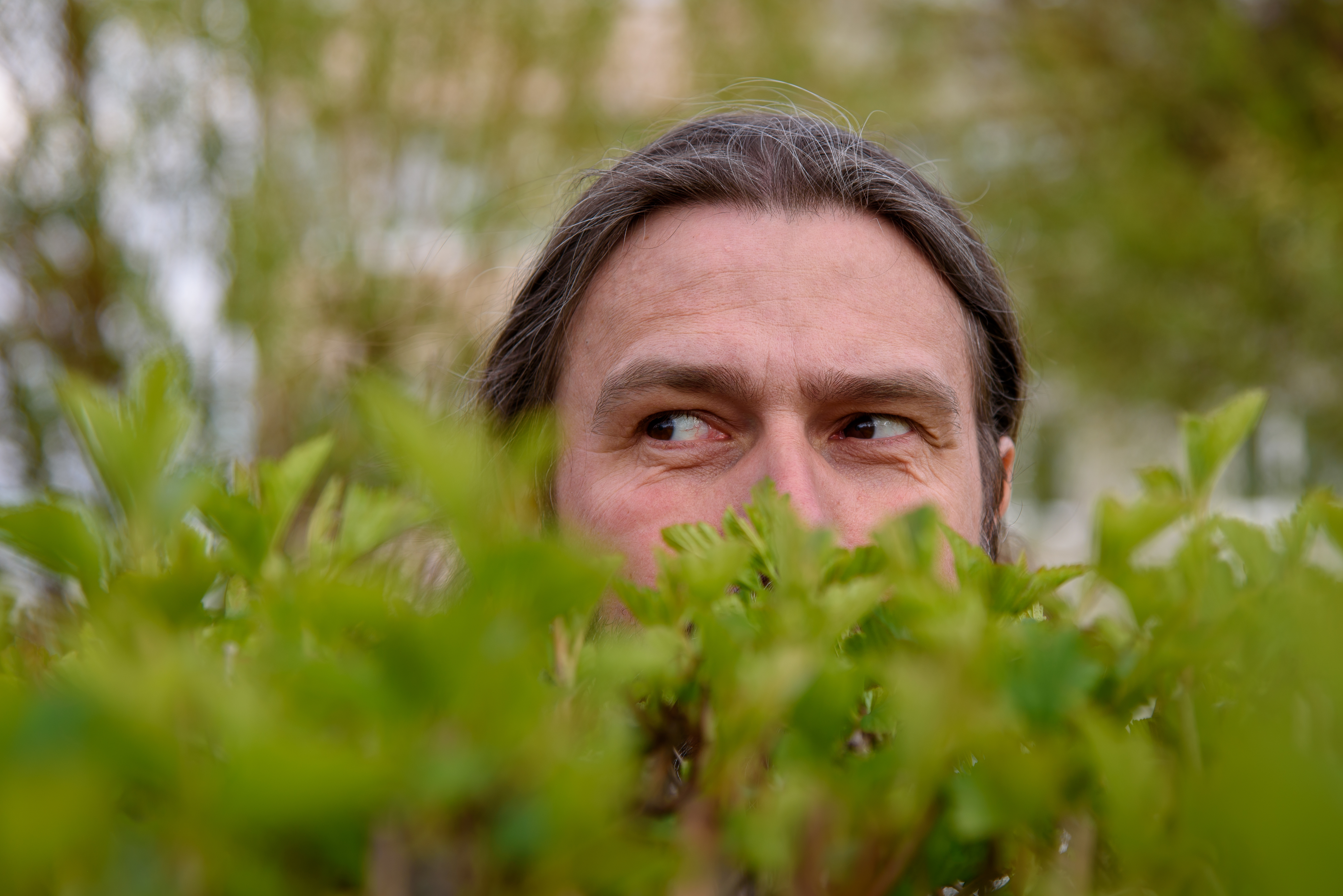 A man with a beard and a mustache is peeping in the park from behind bushes | Source: Shutterstock
