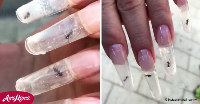 Manicure using live ants sparks outrage over animal cruelty