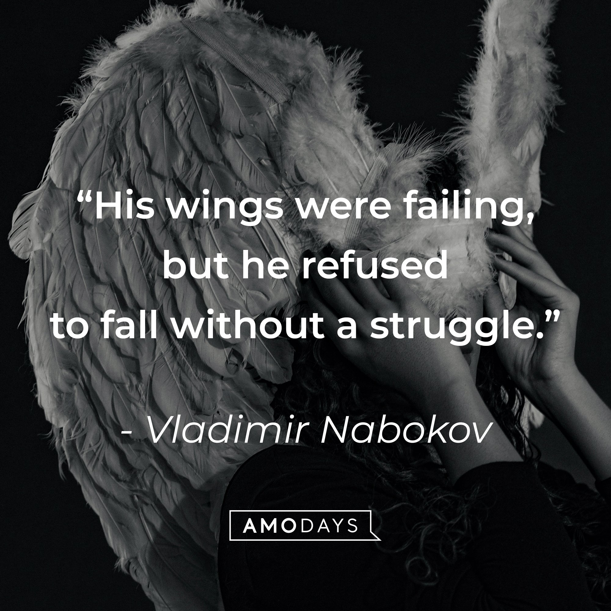 Vladimir Nabokov's quote: "His wings were failing, but he refused to fall without a struggle." | Image: AmoDays
