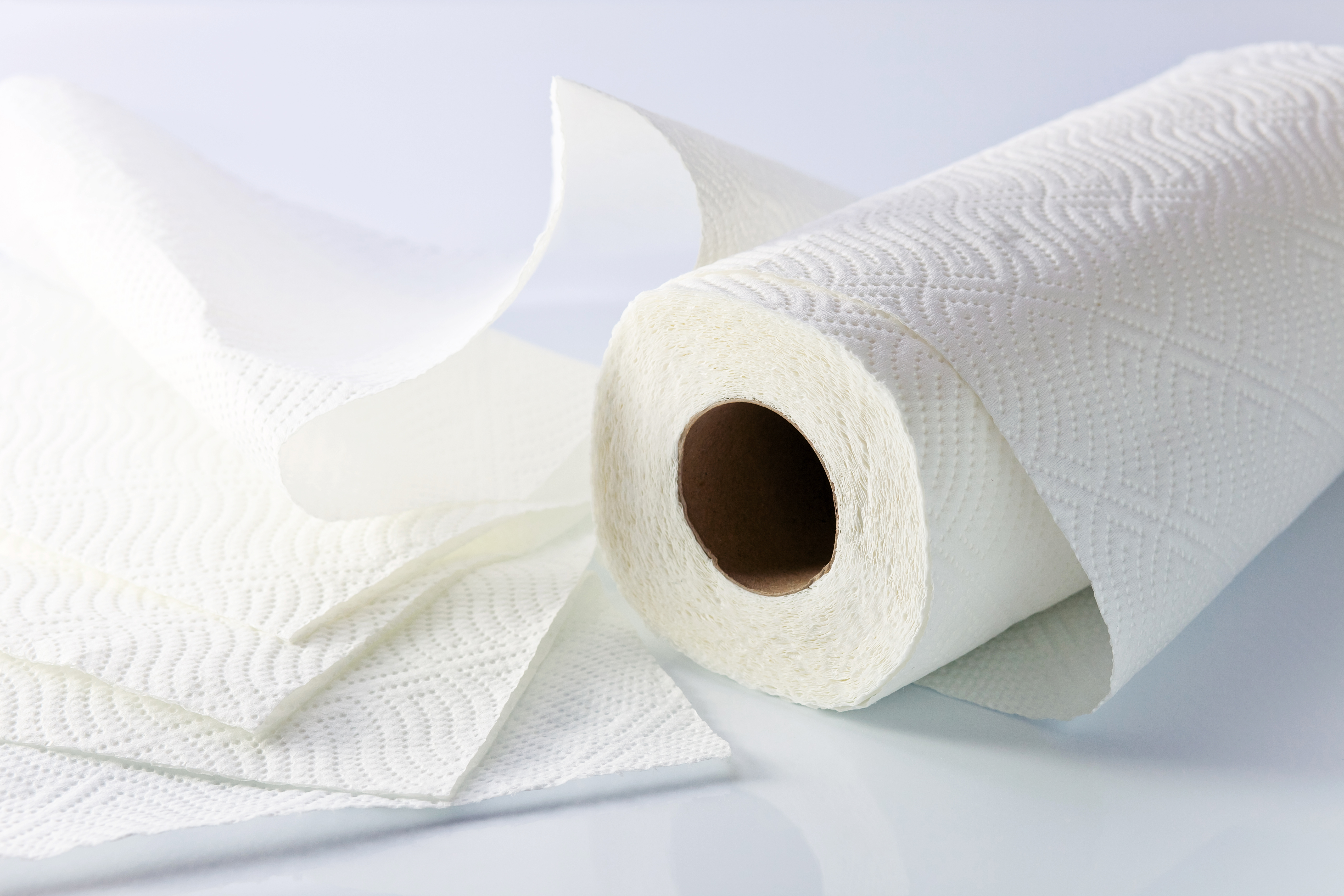 A toilet paper roll | Source: Shutterstock
