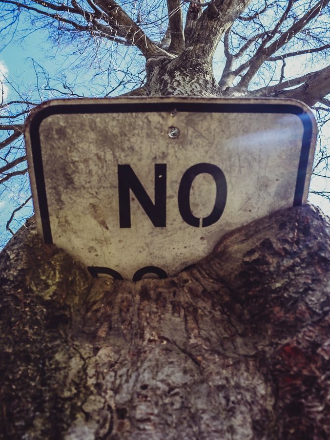 Ein eingewachsenes Schild im Baum mit der Aufschrift "No" | Quelle: Unsplash