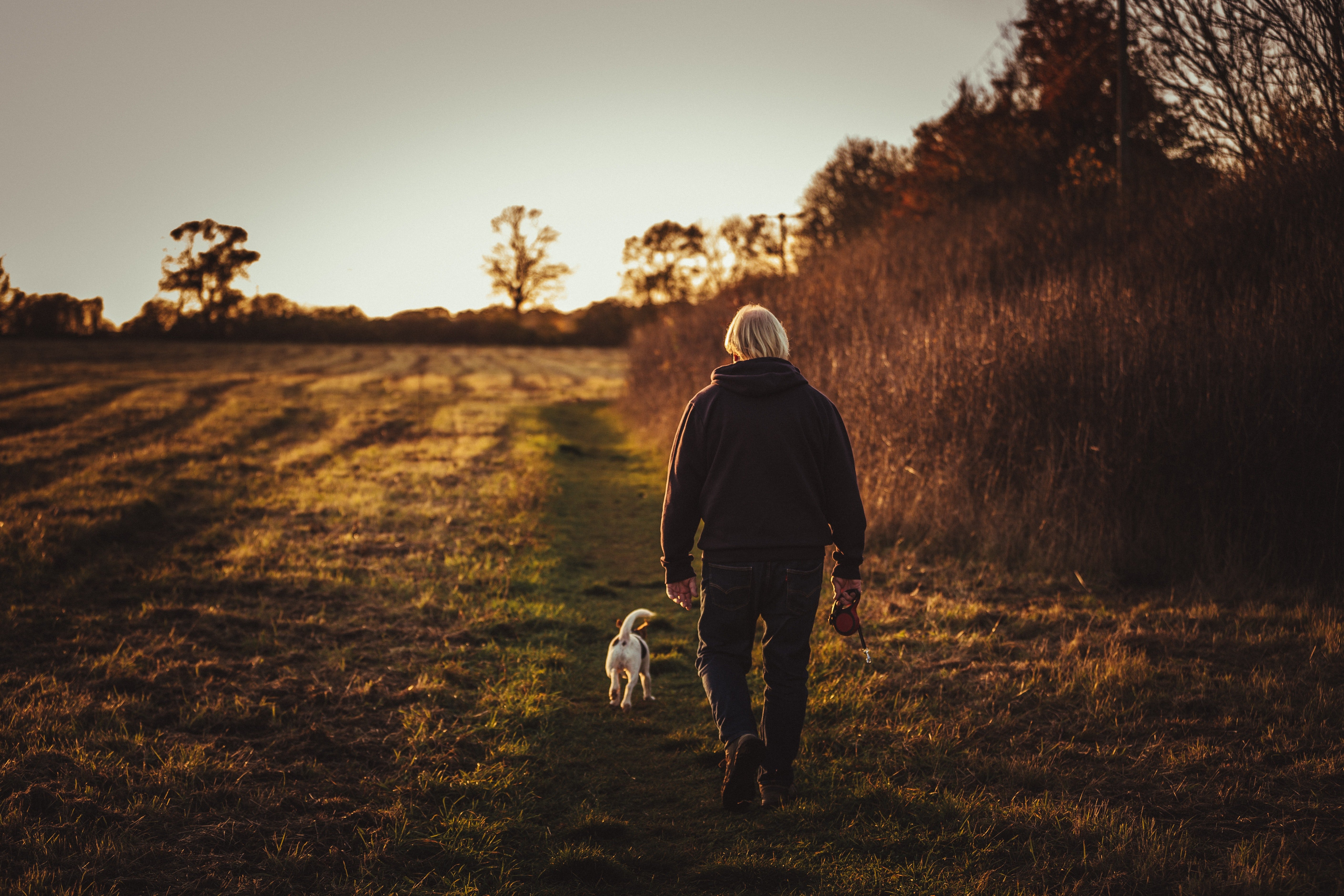 Hombre caminando con su perro en el campo. | Foto: Pexels