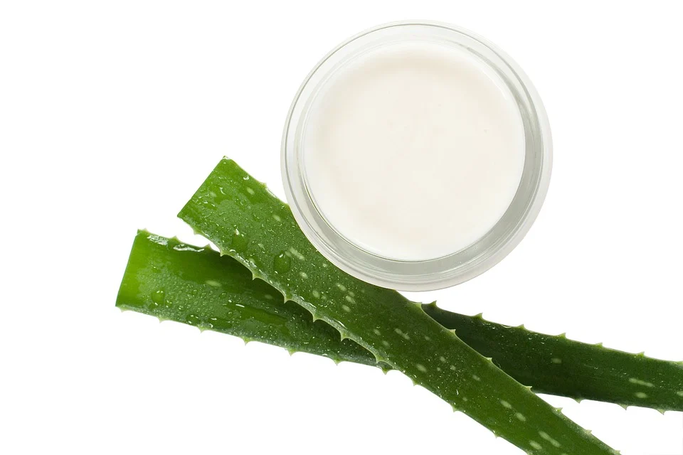 Crème à l'aloe vera. | Photo : Pixabay