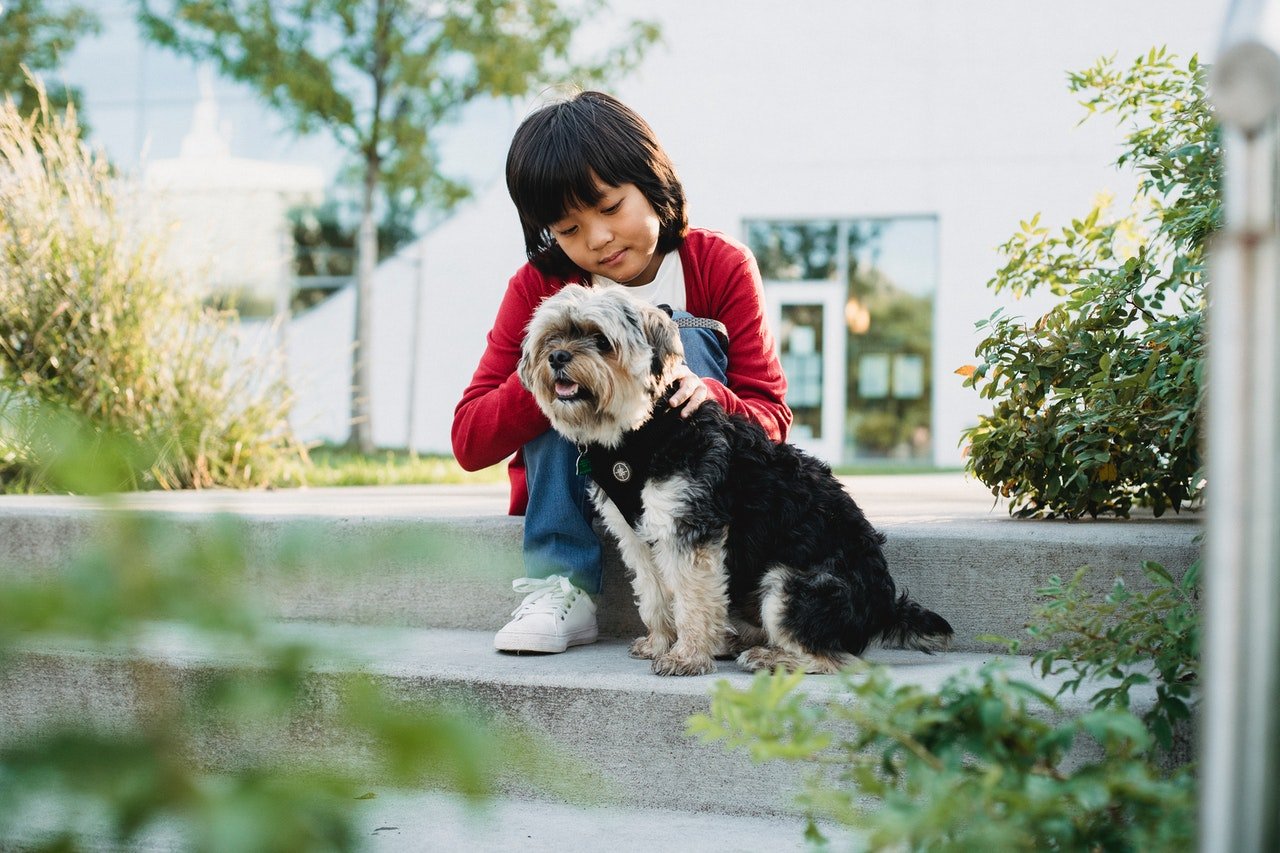 Niño con su perro. | Foto: Pexels