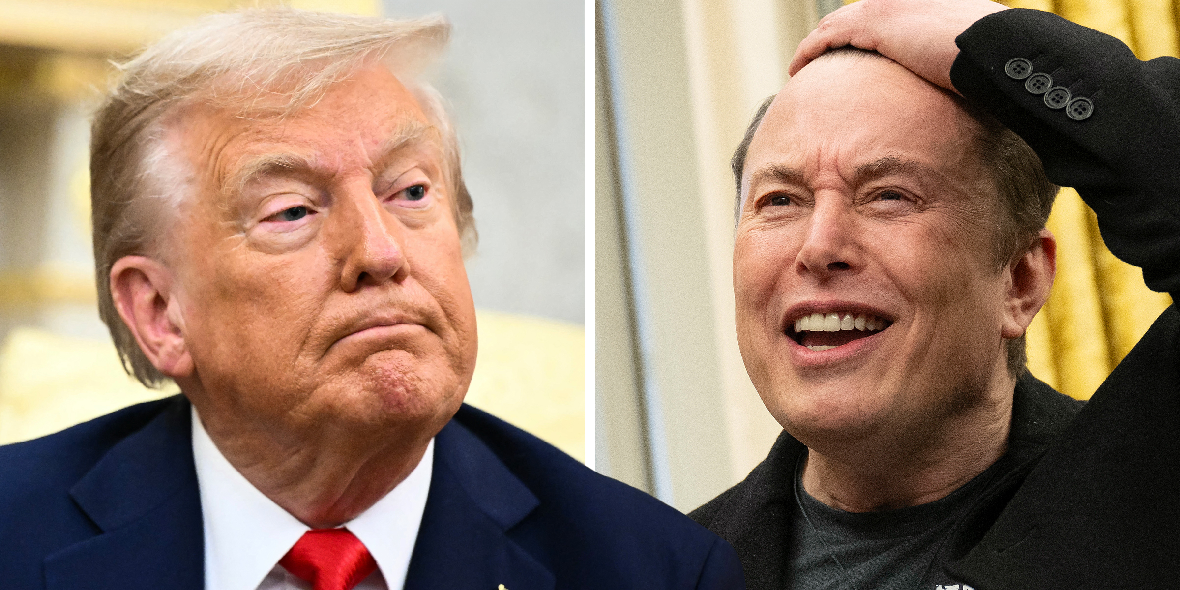Donald Trump and Elon Musk | Source: Getty Images