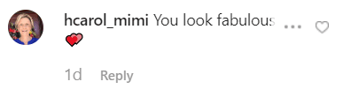 A fan's comment on Amy Schumer's post. | Source: instagram.com/amyschumer