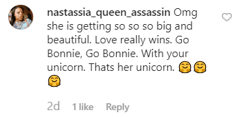 A fans' comment from Joseline Hernandez's post. | Photo: instagram.com/joseline