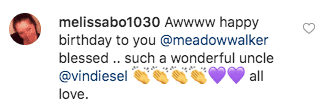 A fan's comment on Vin Diesel's post. | Photo: instagram.com/vindiesel