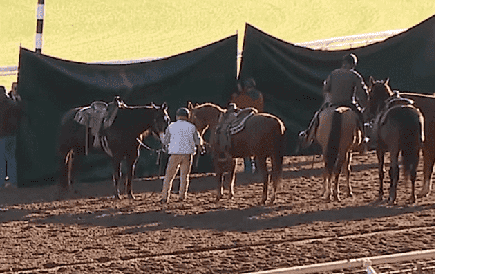 Horses and horseriders standing in front of two tarps concealing the injured filly | Photo: Fox 11 Los Angeles