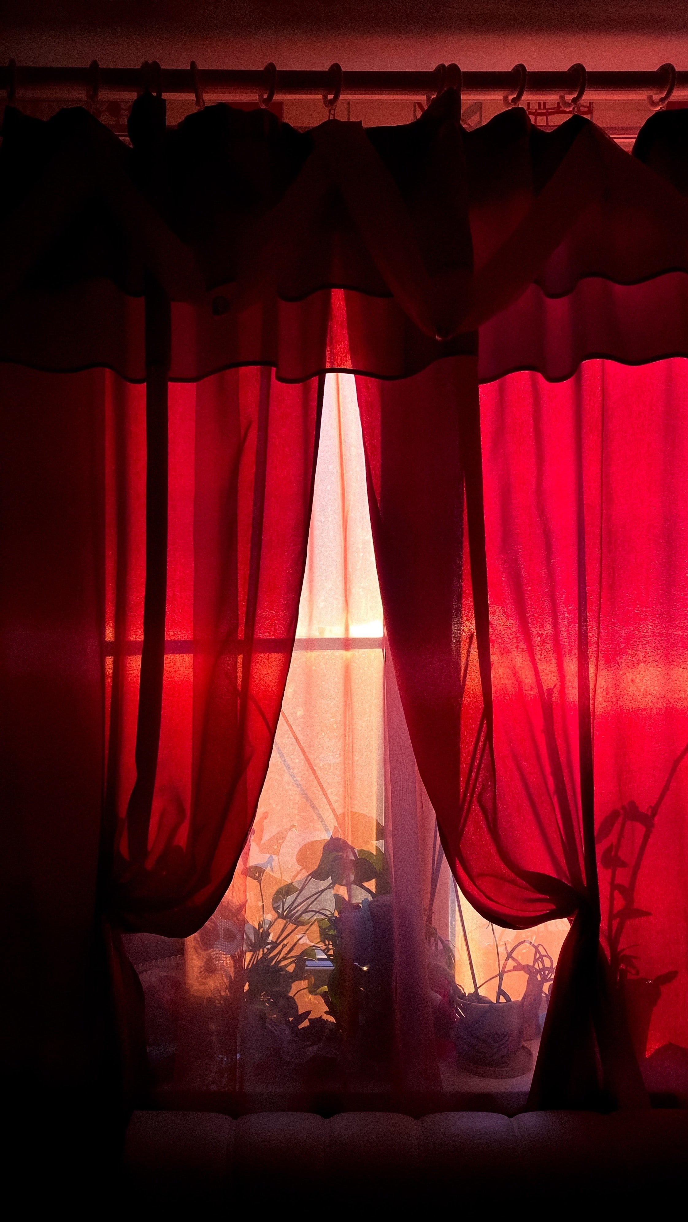 Adam described the room with the red curtain. | Source: Unsplash