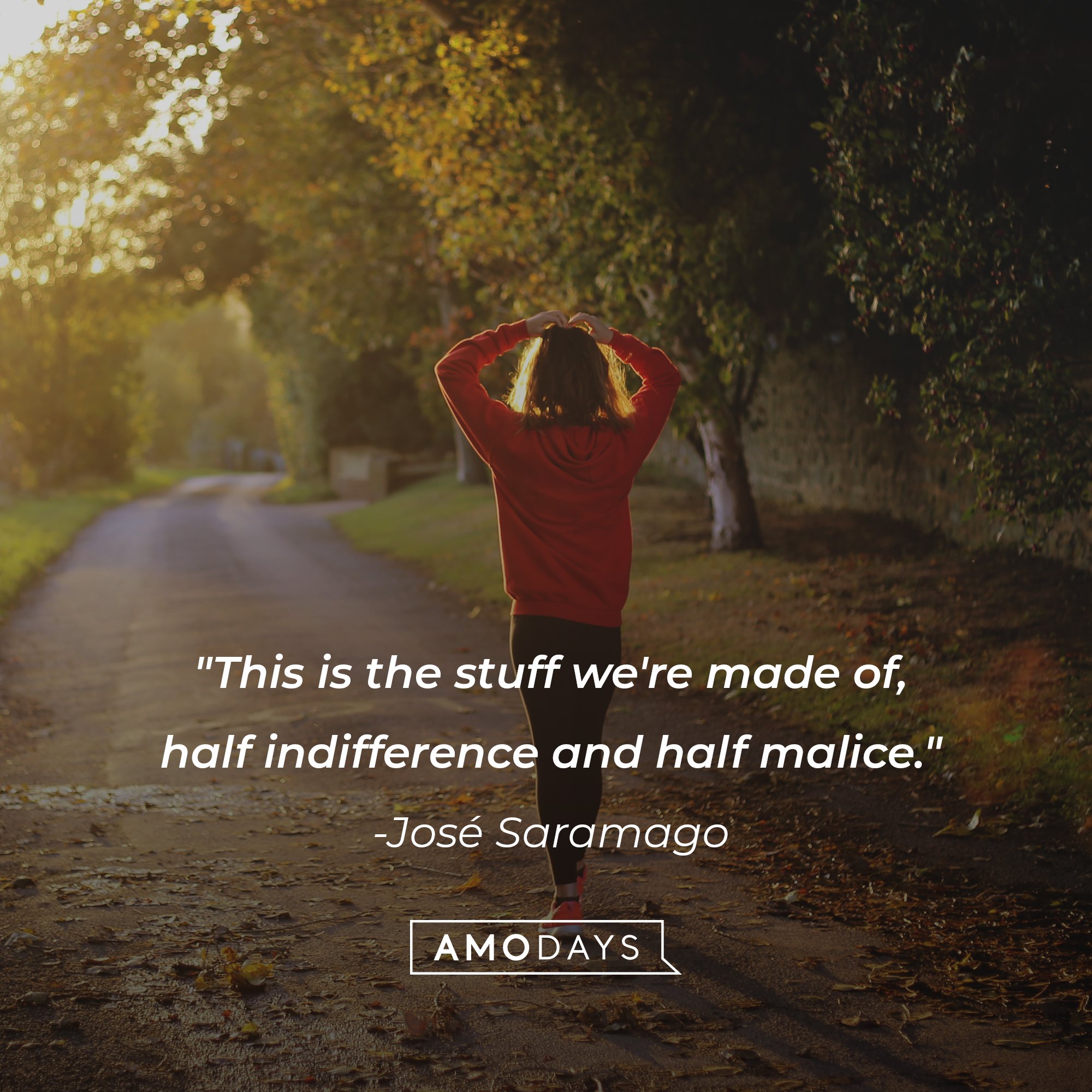 José Saramago's quote: "This is the stuff we're made of, half indifference and half malice." | Image: AmoDays