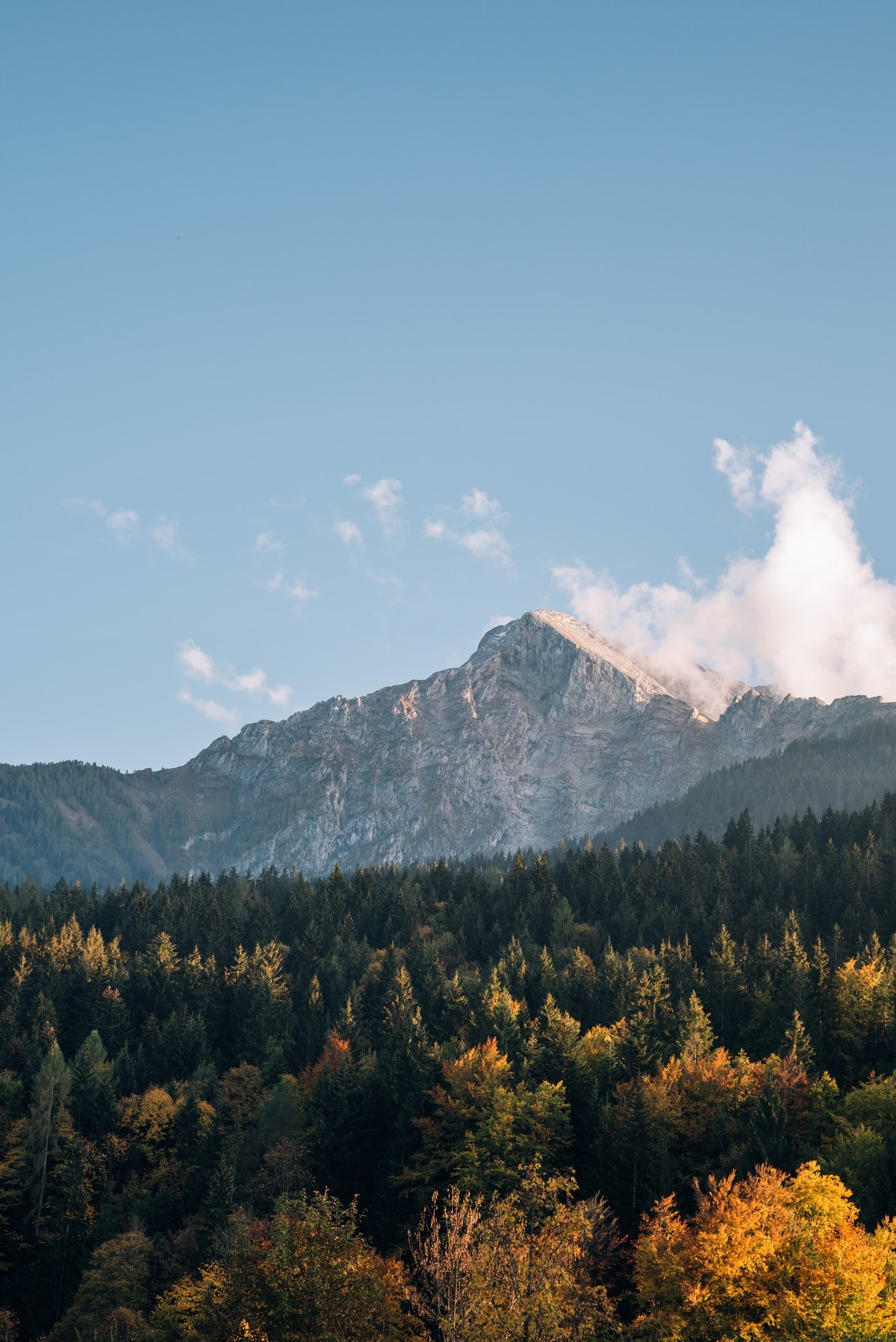 Photo of a mountain behind lush evergreen forest | Photo: Pexels