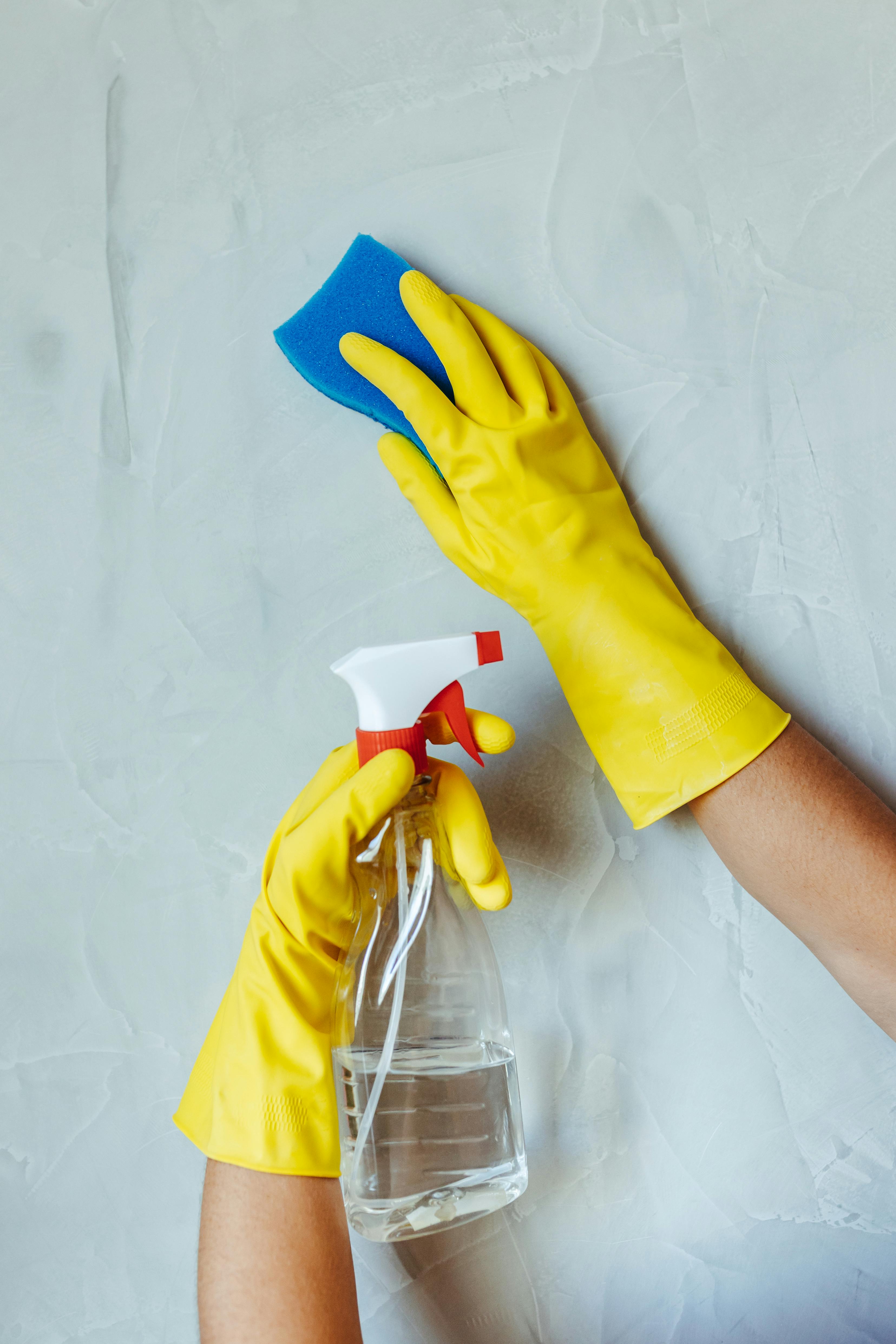 A cleaning sponge and spray bottle highlight everyday tools that can harbour hidden bacteria if not properly disinfected. | Source: Pexels