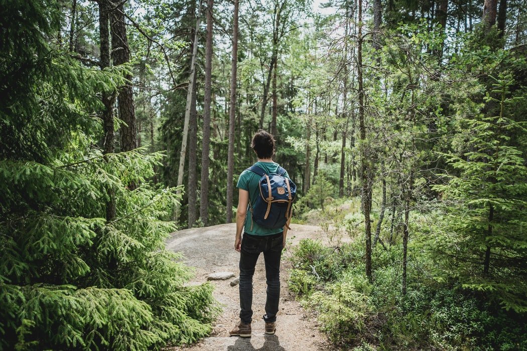 Un homme marchant en forêt. l Source : Unsplash