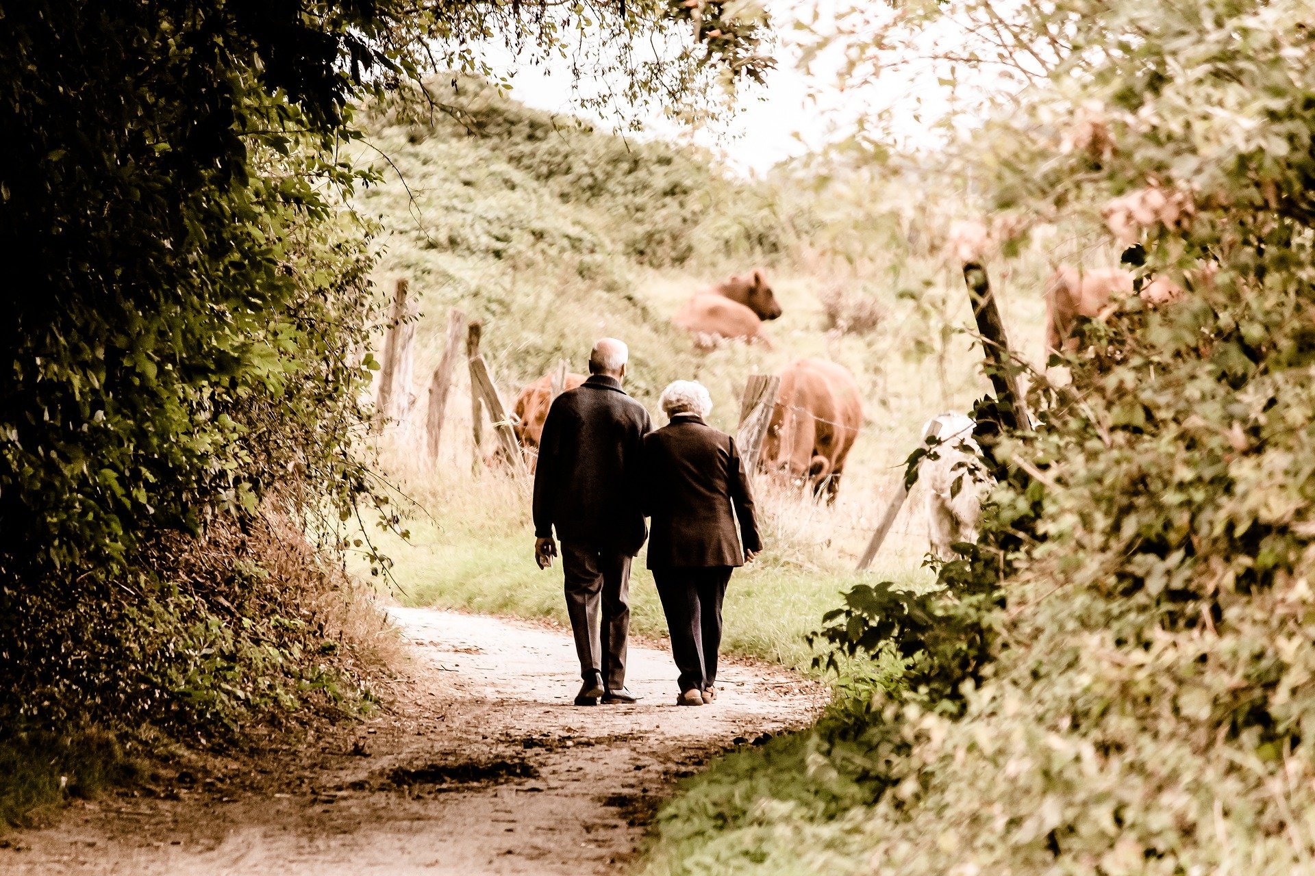 Pareja de ancianos andando por camino de tierra | Foto: Pixabay Pareja de ancianos andando por camino de tierra | Foto: Pixabay