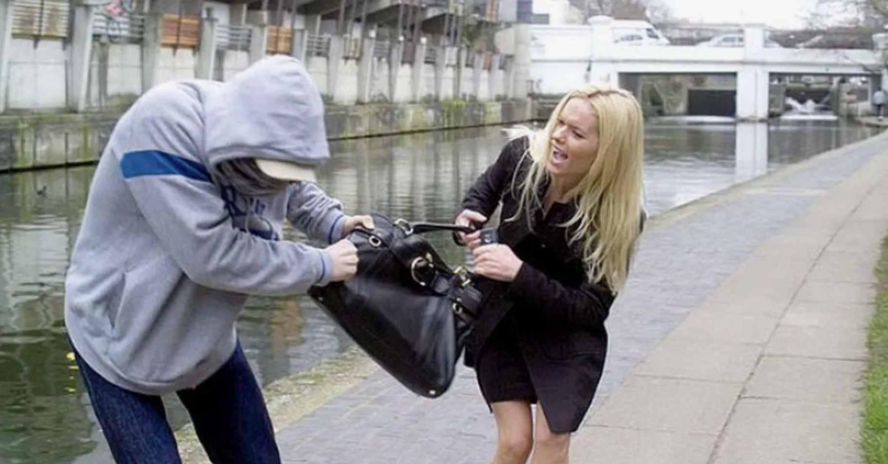 Street thief trying to steal a woman's purse | Source: Shutterstock
