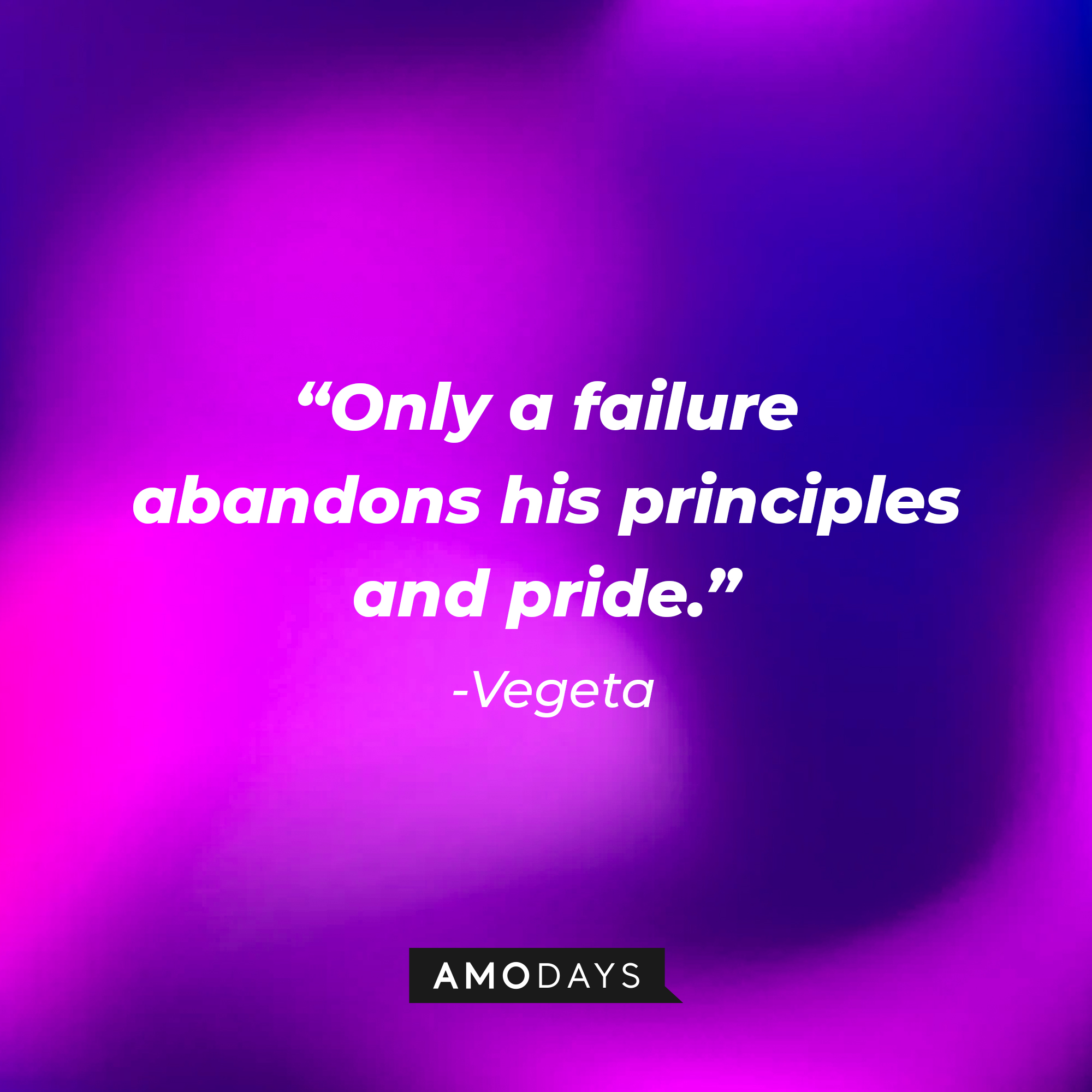 Vegeta’s quote: "Only a failure abandons his principles and pride." | Source: AmoDays