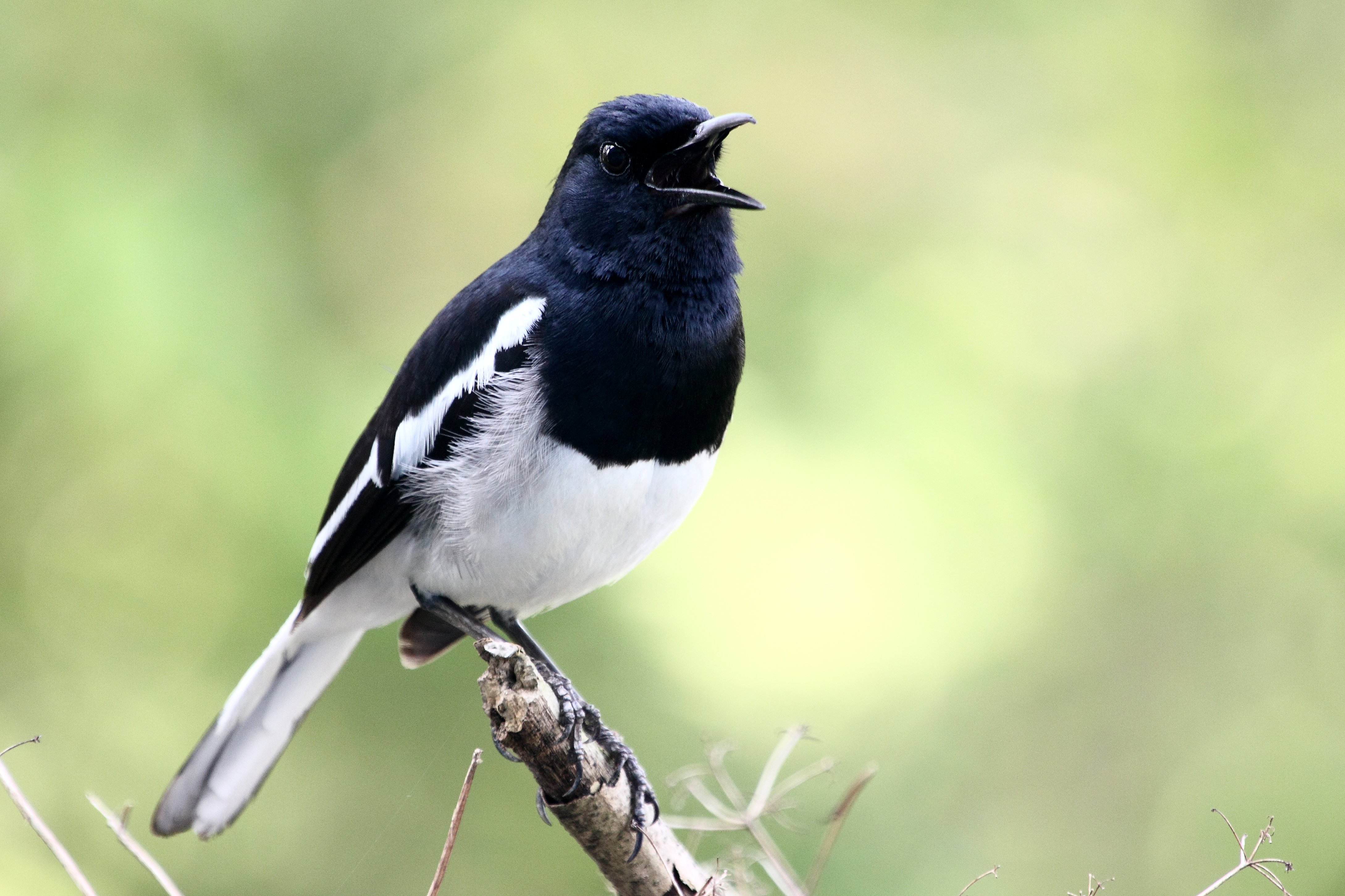 Image source: shutterstock
