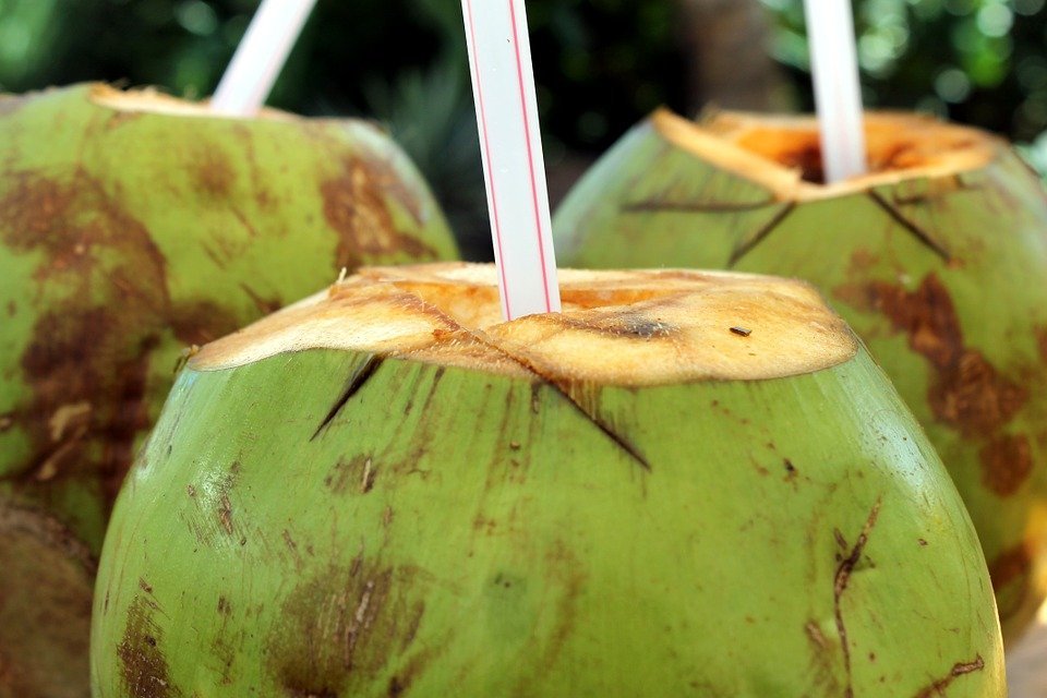 El agua de coco es uno de los mejores remedios naturale contra la presión alta-Imagen tomada de Pixabay El agua de coco es uno de los mejores remedios naturale contra la presión alta-Imagen tomada de Pixabay