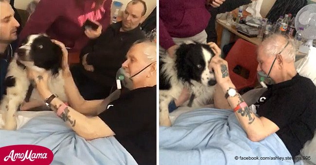 Grandpa's dying wish was seeing his dog one last time and it was granted by the hospital