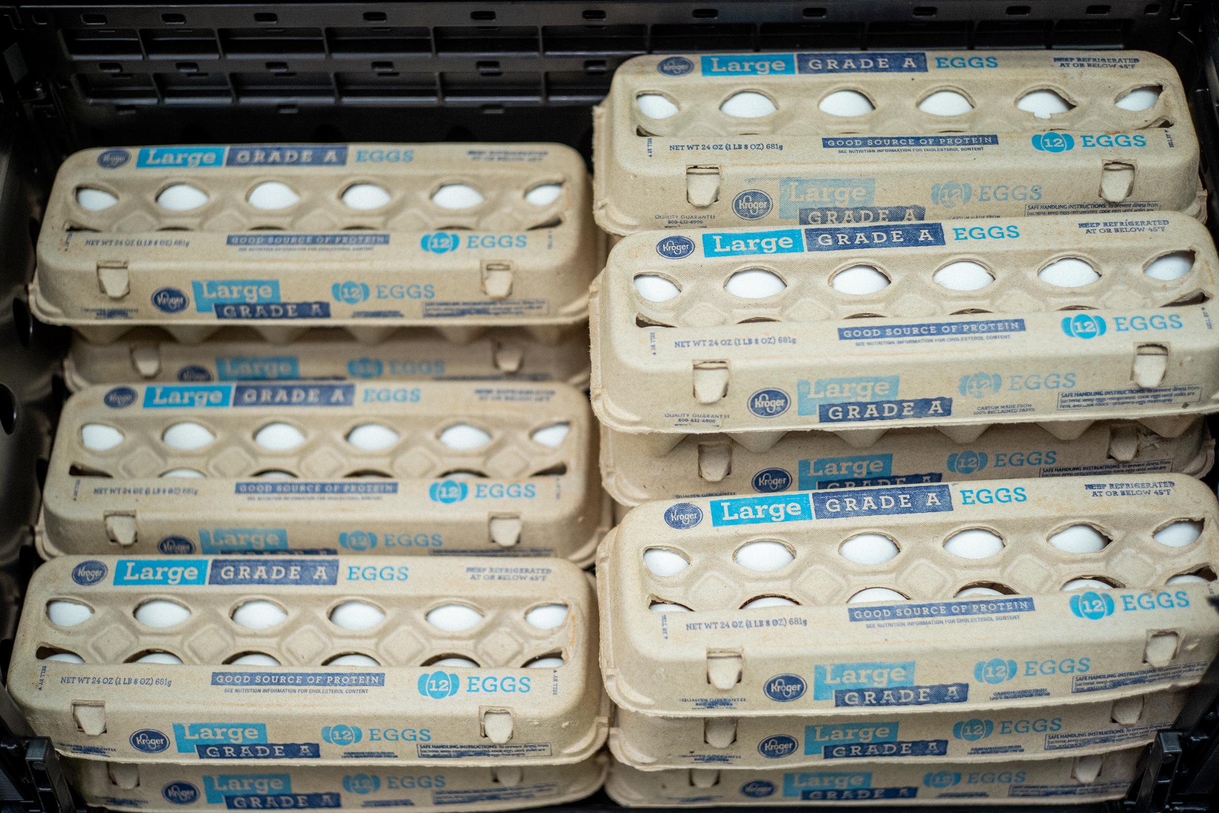 Egg cartons are displayed at a grocery store in an illustrative image. Health officials say consumers should check plant codes, Julian dates, and best-by dates to determine whether their eggs are part of the recall. | Source: Getty Images