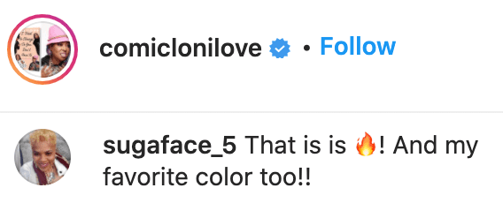 Fan's comment on Loni Love's post. | Source: Instagram/comiclonilove