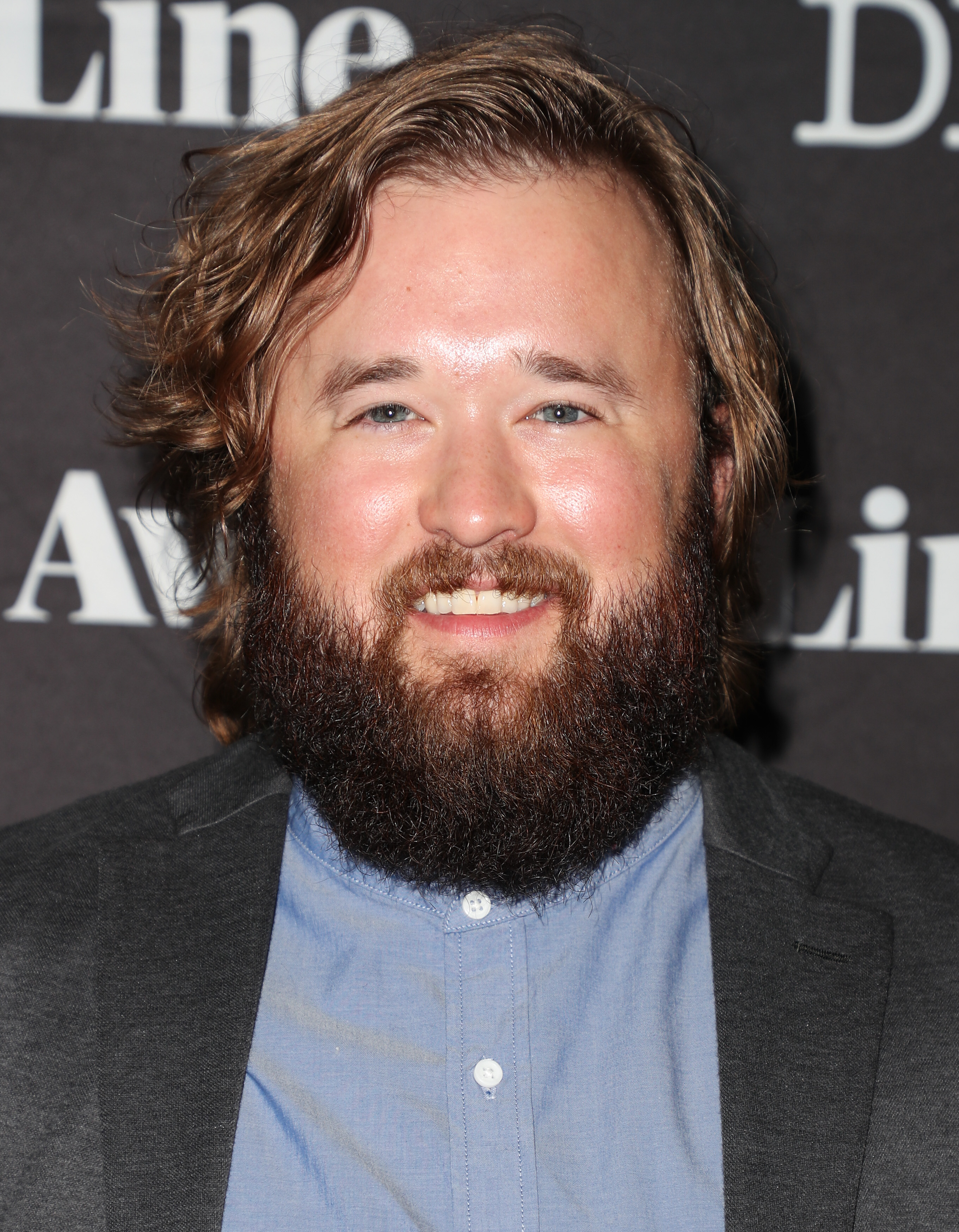 Haley Osment at the Deadline Hollywood Emmy Season Kickoff party on June 5, 2017 in Los Angeles, California. | Source: Getty Images