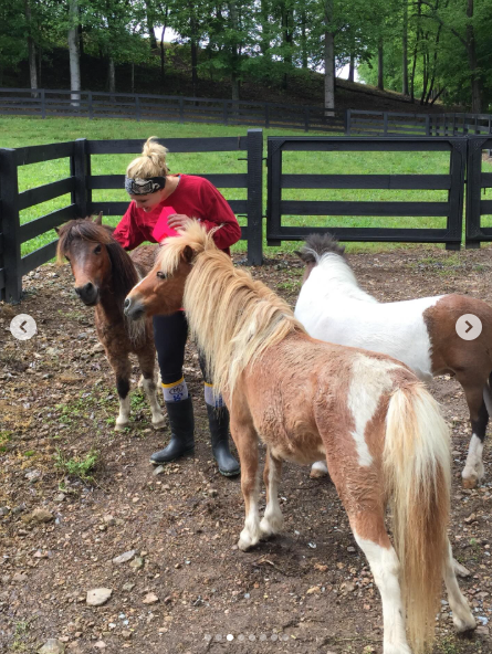 Country singer, Miranda Lambert with her miniature horses from a post dated November 22, 2025 | Source: Instagram/mirandalambert