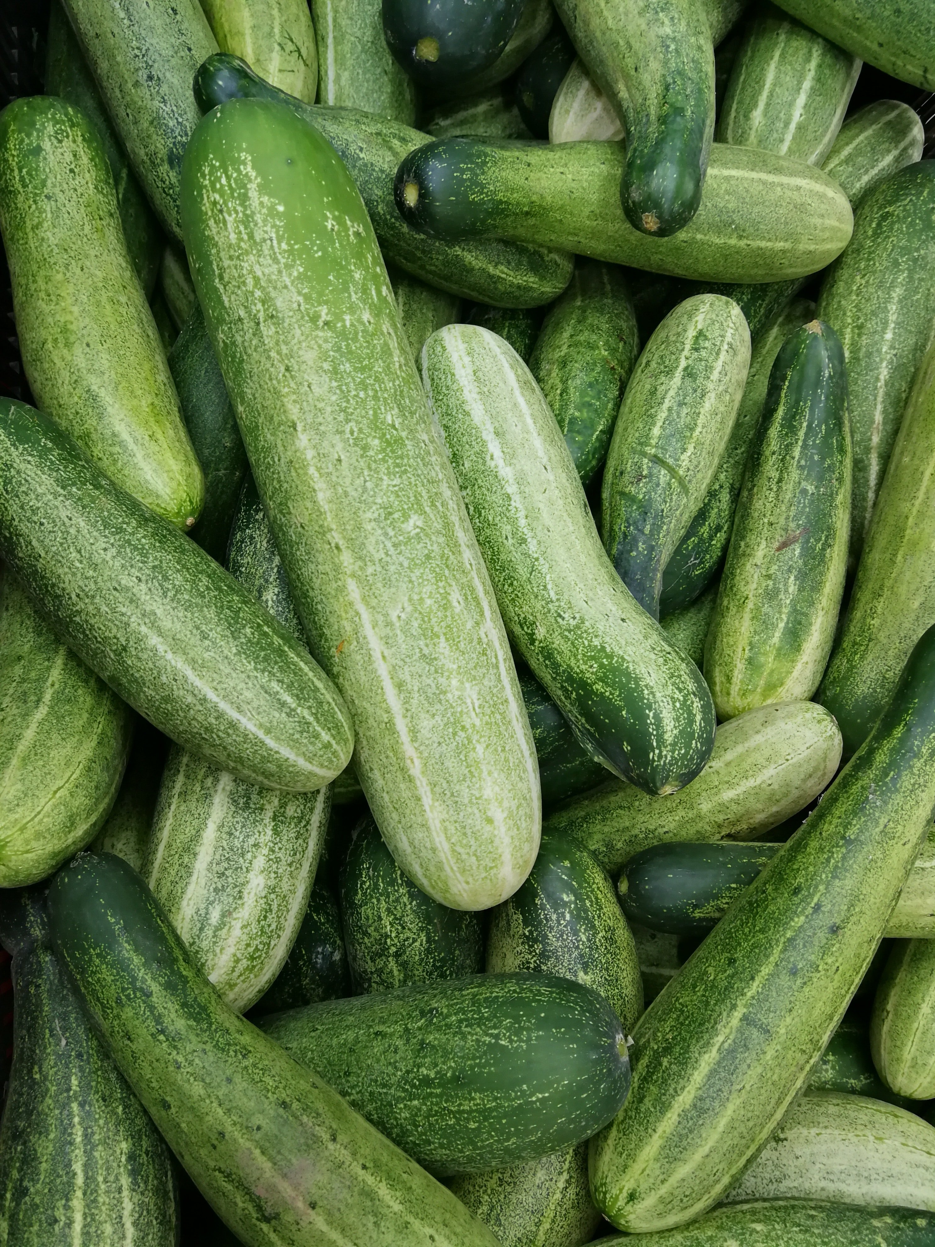 Numerous cucumbers. | Pexels/ Lo