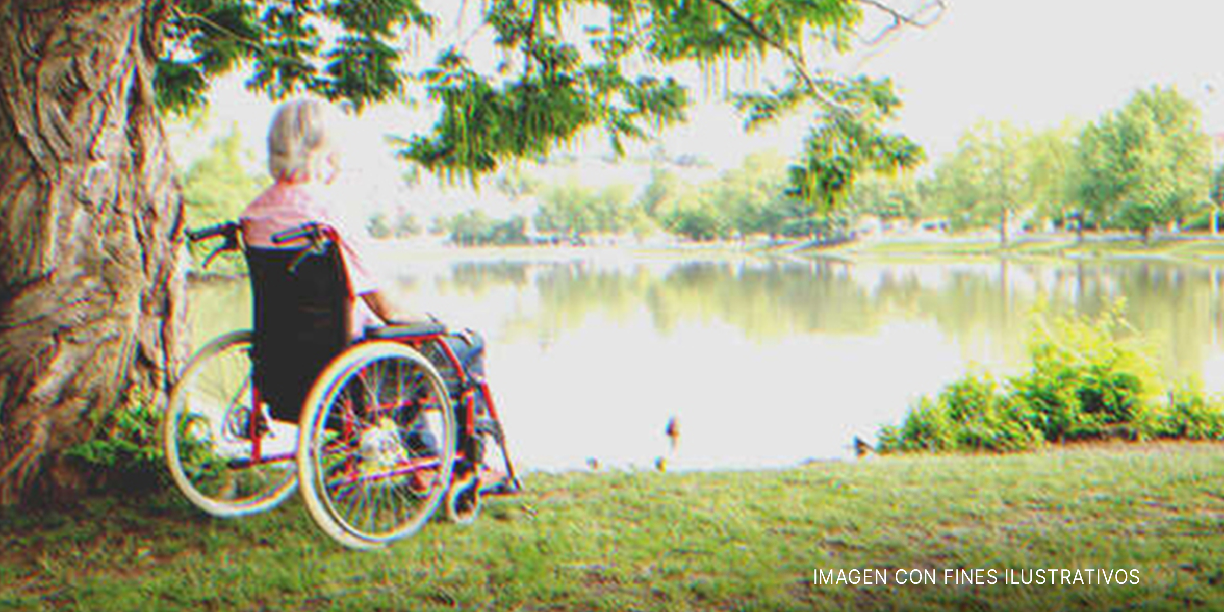 Mujer mayor en silla de ruedas. | Foto: Shutterstock