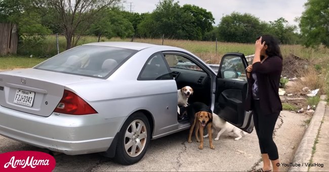 Texas woman caught on video abandoning several dogs on a dead-end street