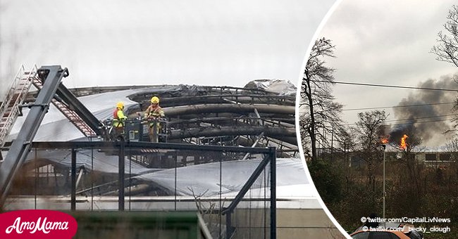 Chester Zoo announces animal losses after devastating blaze