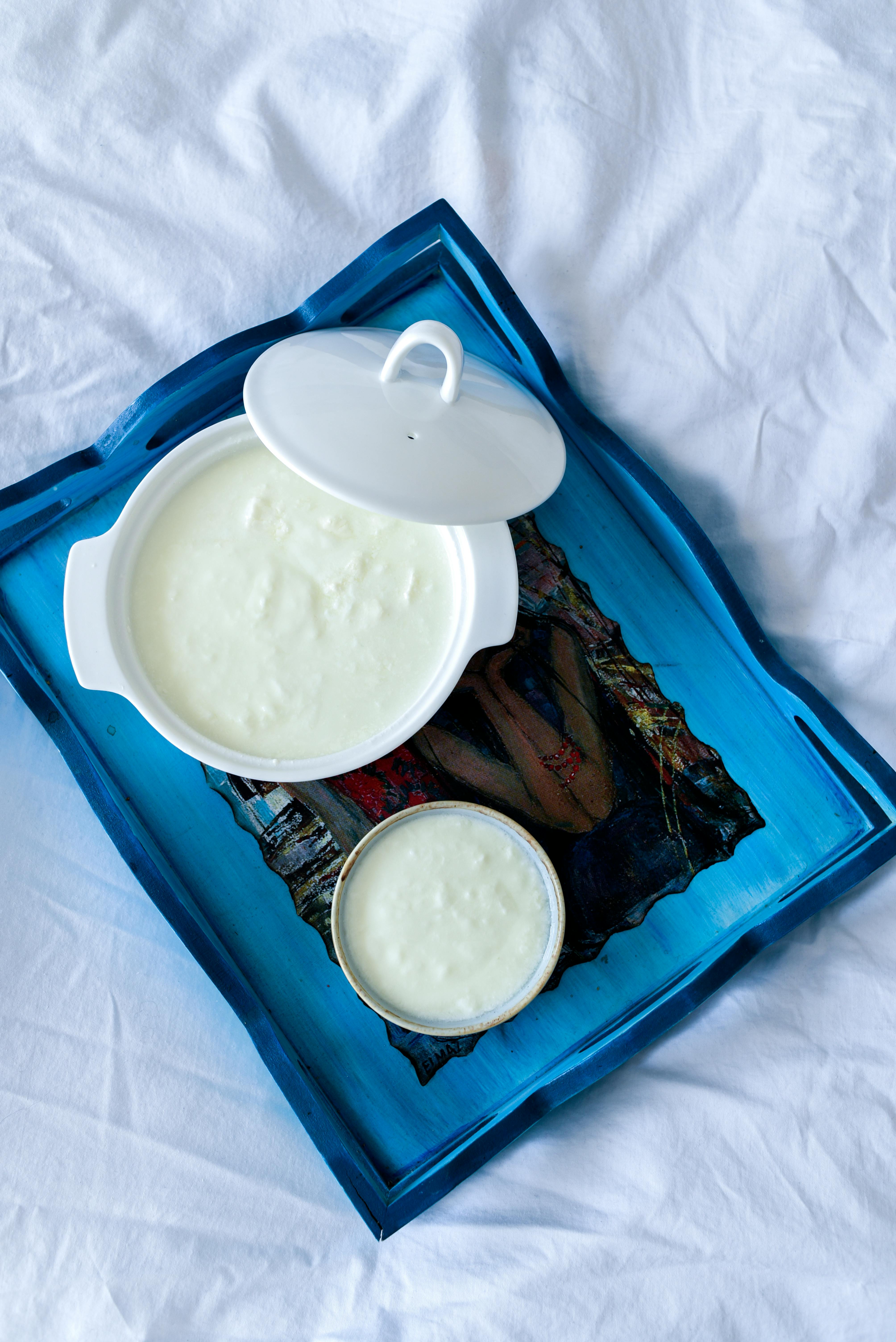 A bowl of freshly prepared Greek yoghurt sits on a tray, showcasing its natural consistency before any added ingredients or toppings. | Source: Pexels
