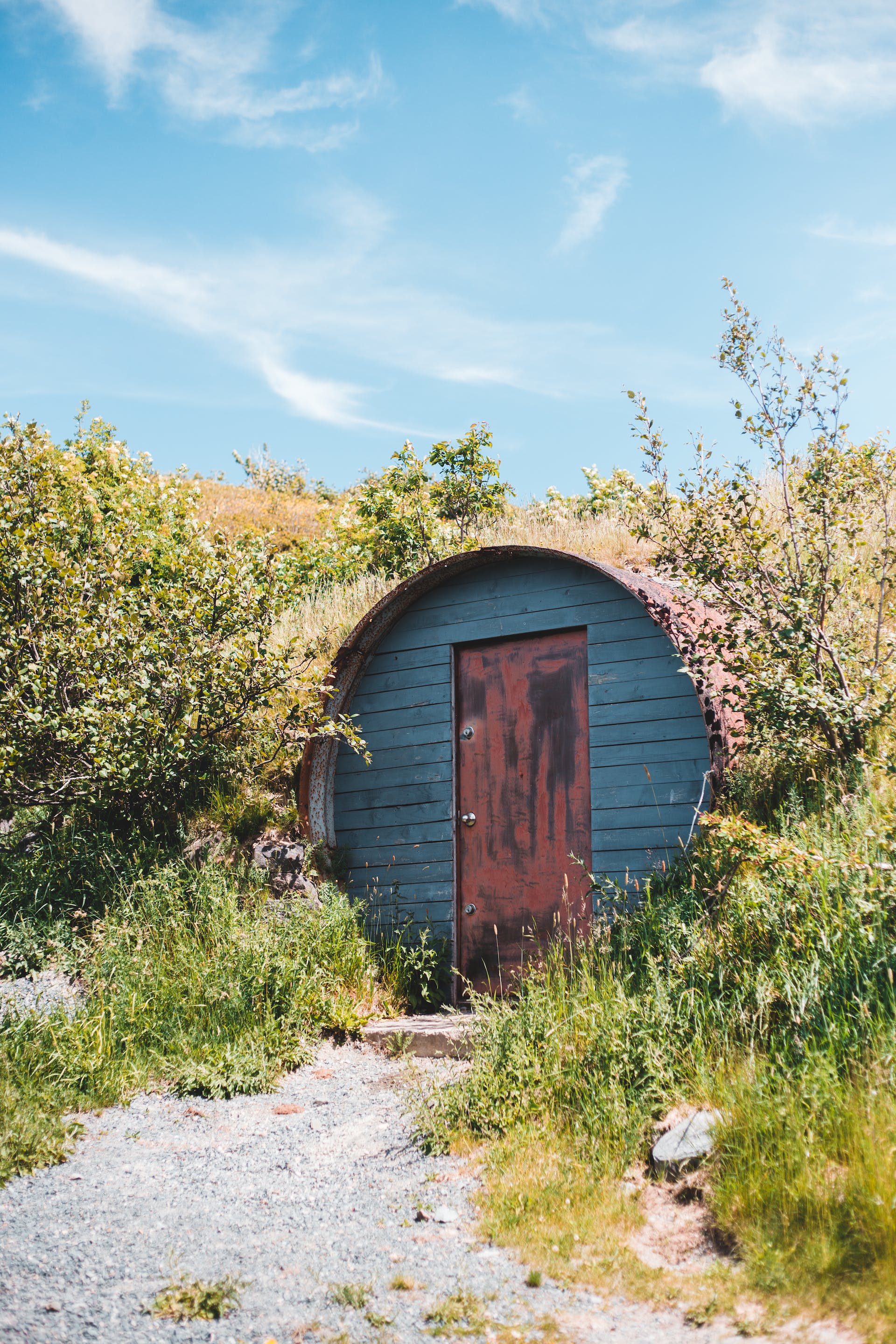 A door surrounded by bushes | Source: Pexels