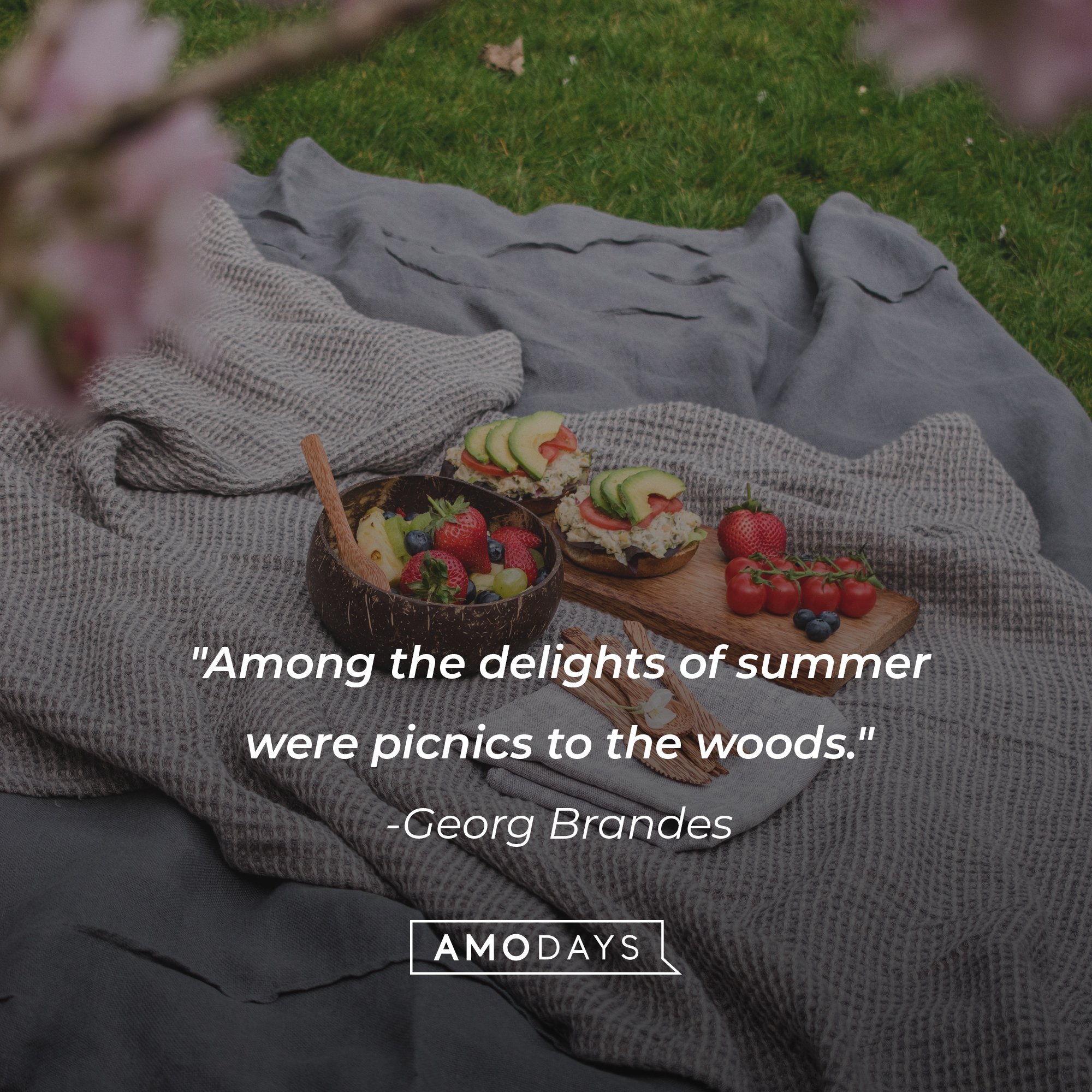 Georg Brandes' quote: "Among the delights of summer were picnics to the woods." | Image: AmoDays