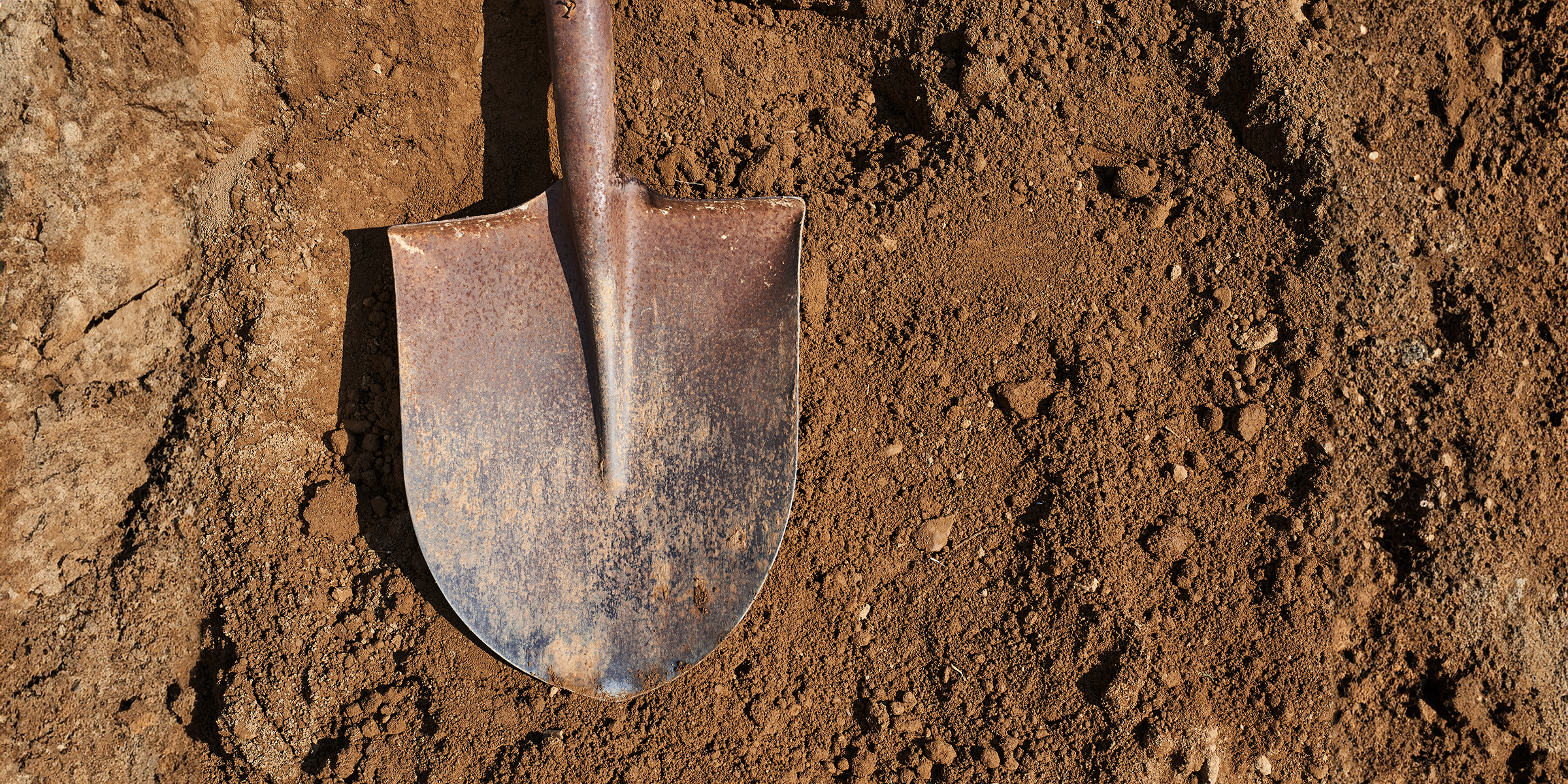 A shovel lying in dirt | Source: Shutterstock