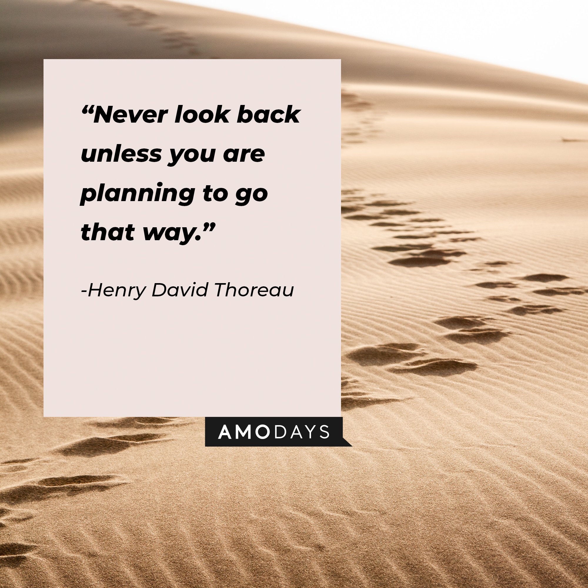 Henry David Thoreau's quote: “Never look back unless you are planning to go that way.” | Image: AmoDays