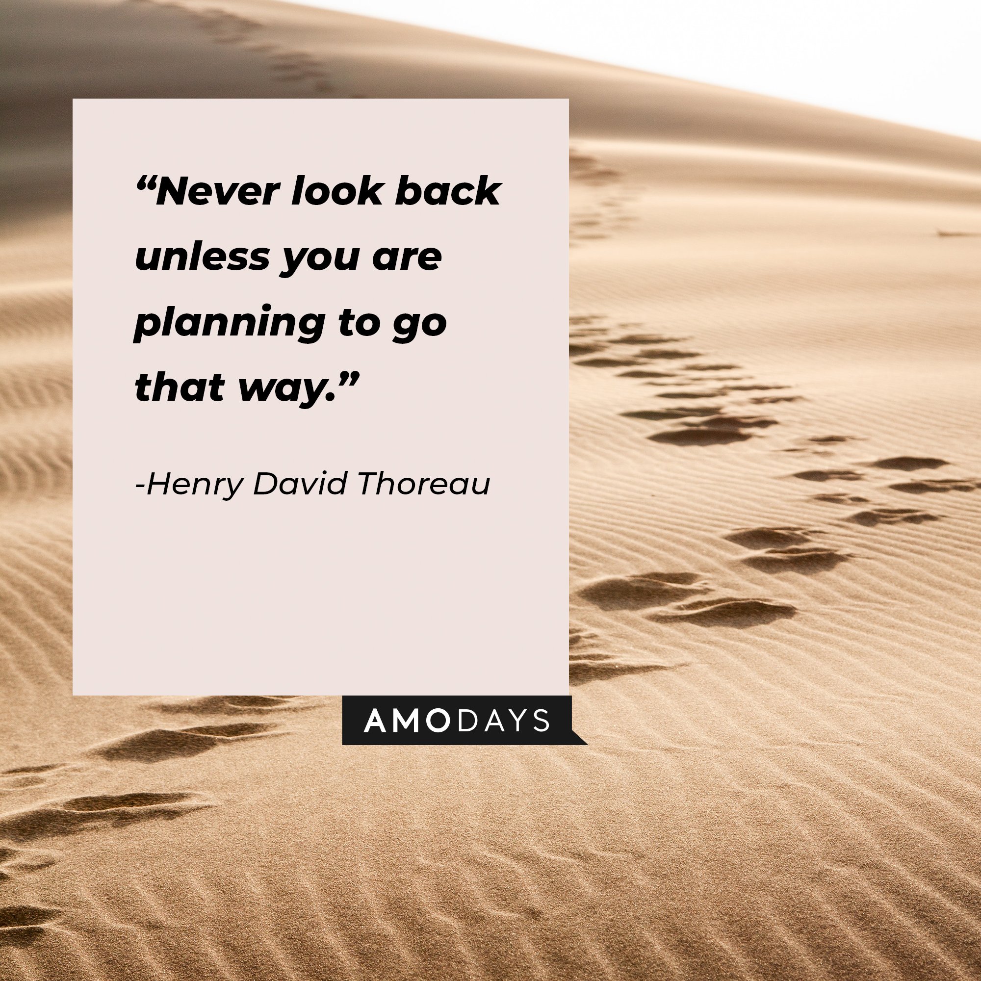Henry David Thoreau's quote: “Never look back unless you are planning to go that way.”  | Image: AmoDays