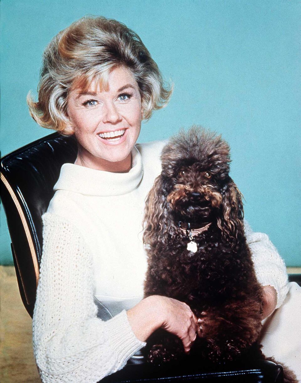 Doris Day, an animal activist. | Source: Getty Images
