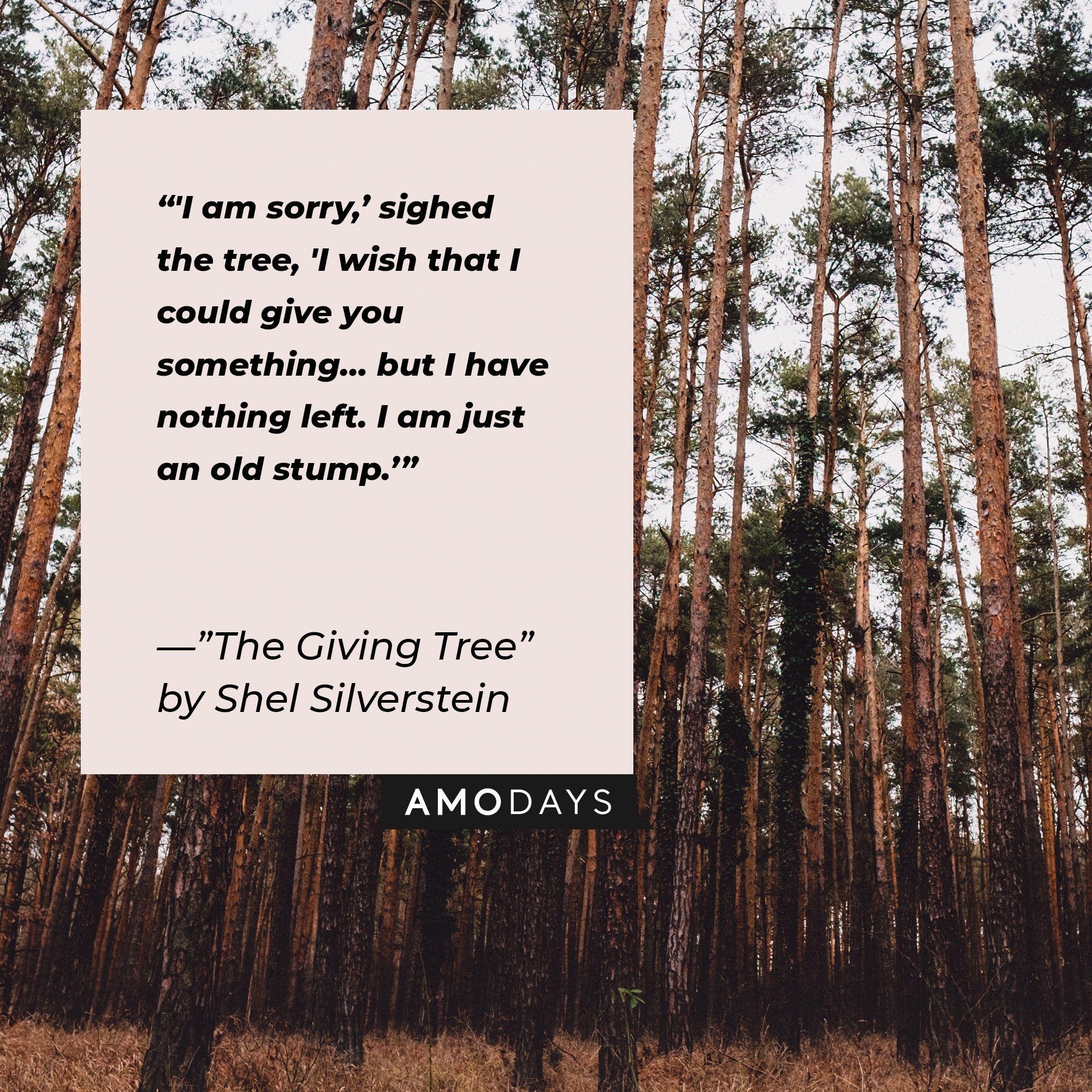  Quotes from Shel Silverstein’s "Giving Tree”: "'I am sorry,' sighed the tree, 'I wish that I could give you something…but I have nothing left. I am just an old stump.'" | Image: AmoDays