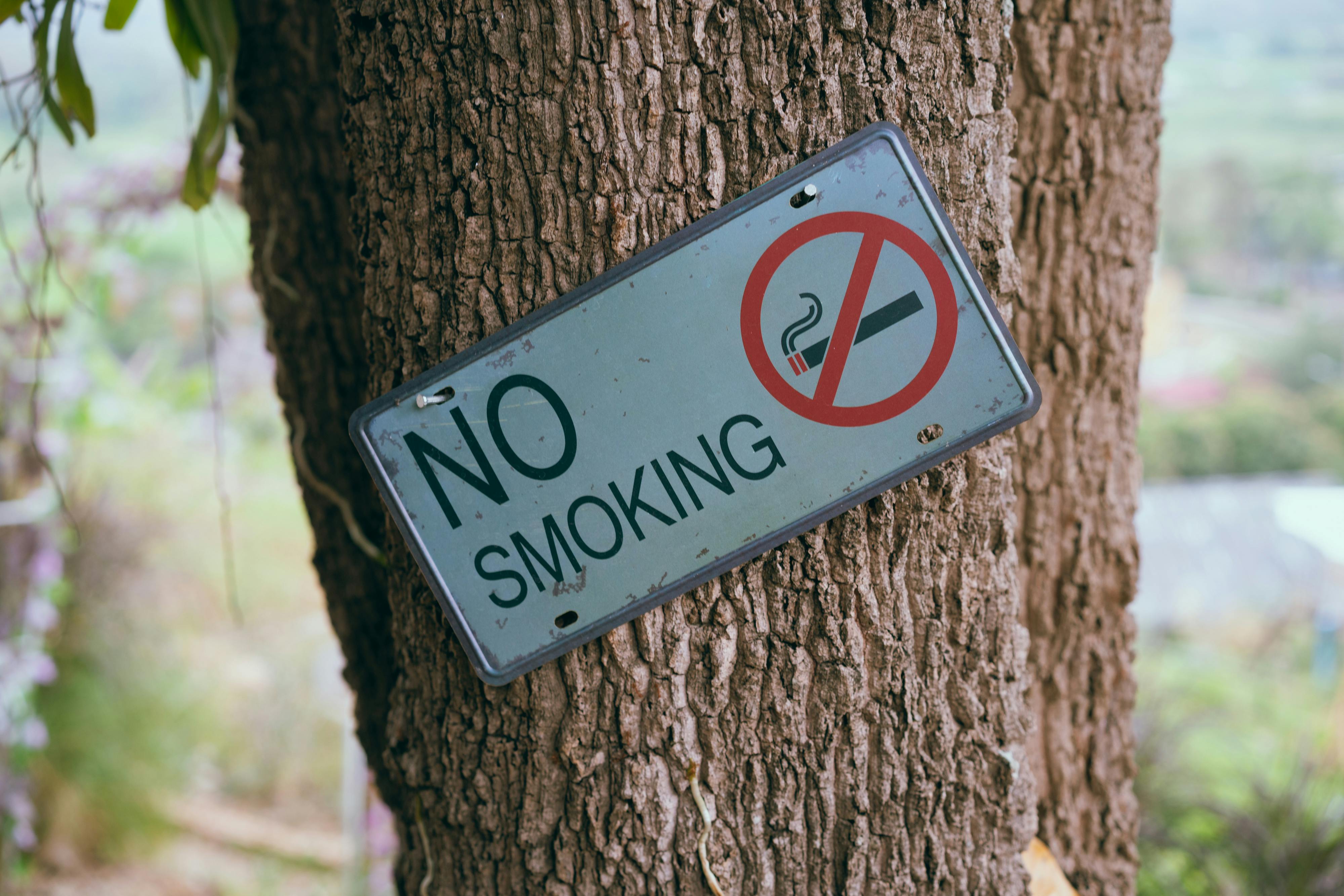No smoking sign | Source: Pexels