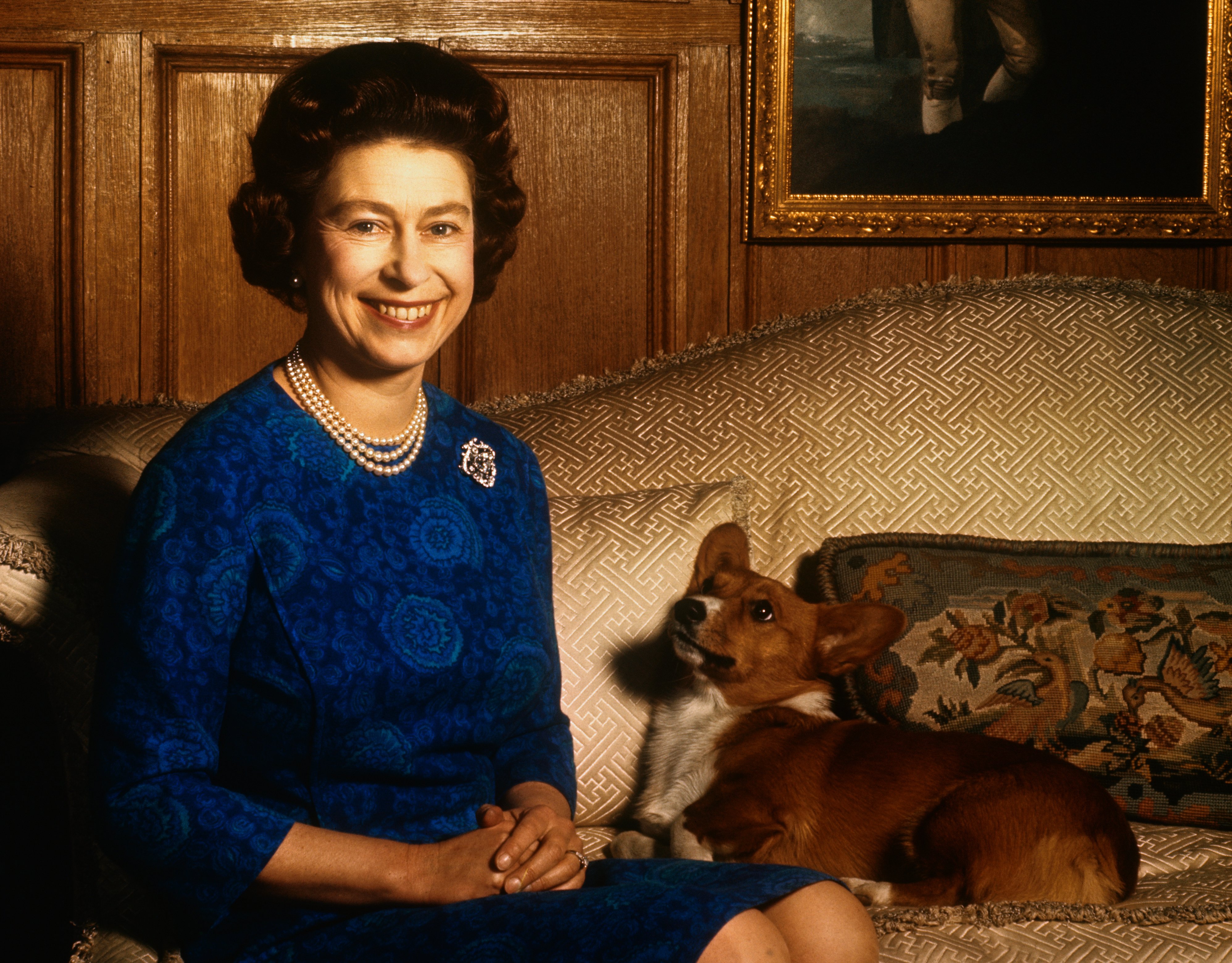 Königin Elizabeth II neben ihrem Hund während einer Fotosession im Salon des Sandringham House. | Quelle: Getty Images