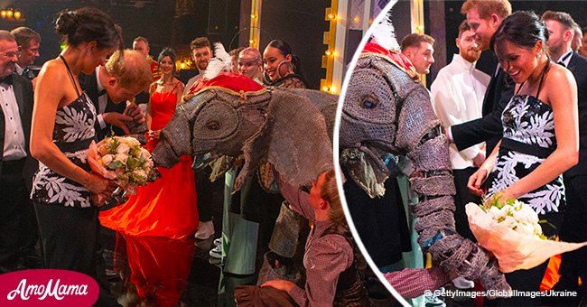 Meghan Markle reacts adorably as Prince Harry gives a kiss to an elephant on Royal Variety