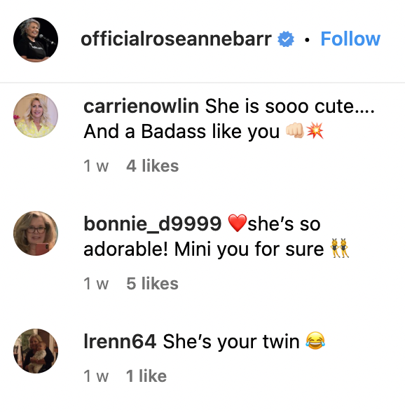 Comments on Roseanne Barr's photo with her granddaughter | Source: Instagram.com/officialroseannebarr