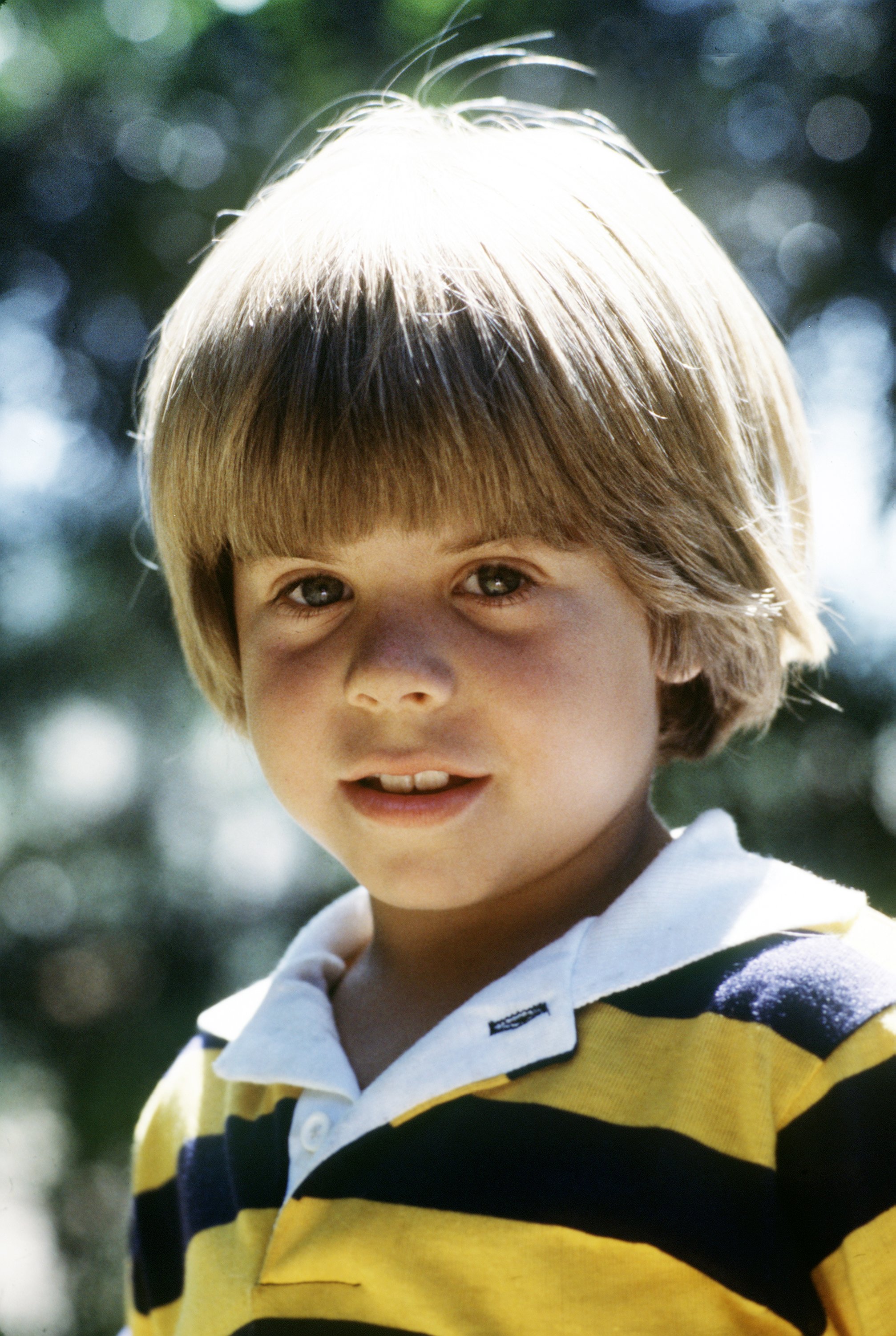 Adam Rich as Nicholas Bradford in "Eight Is Enough" | Source: Getty Images